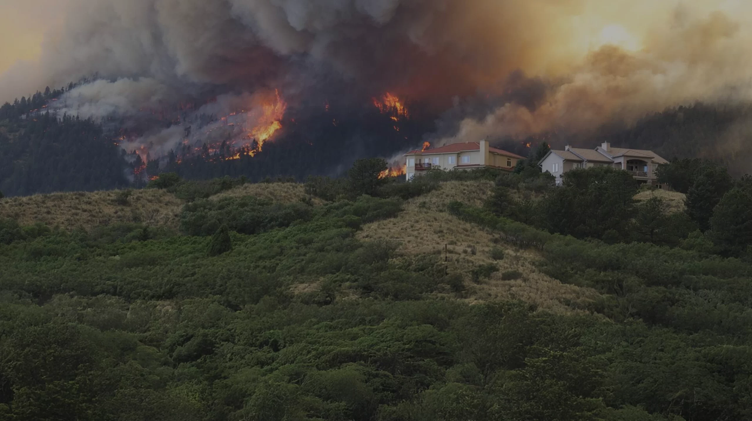 video_fuego
